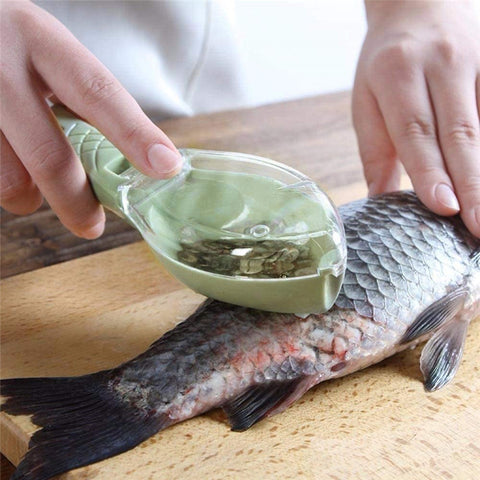 Fish Scale Scraper & Peeler